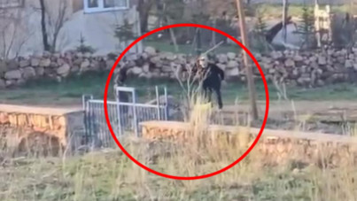 Eşeğe işkence yaptı, 'Sinirlendim' deyip serbest kaldı