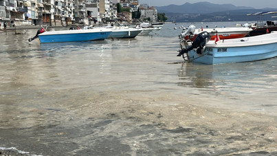 Yazlık bölgede müsilaj görüldü