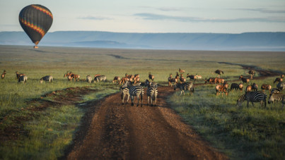 Yüzlerce yıldır tekrarlanan göç başladı: Aslanlar, filler, zürafalar… Hepsi gidiyor