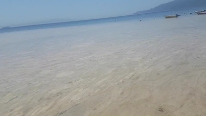 Gemlik Körfezi müsilajla kaplandı