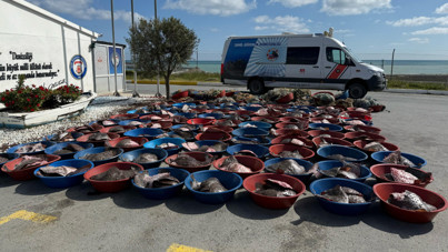 Arnavutköy'de 900 kalkan balığına el konuldu