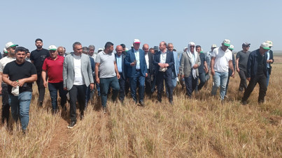 TZOB Başkanı: Yüzde 100'lere varan kuru alanda zarar söz konusu