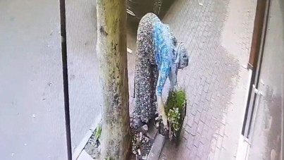 Bu da papatya hırsızı