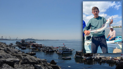 İstanbul'da köpek balığı sürprizi: Espri yaptık, gerçek oldu