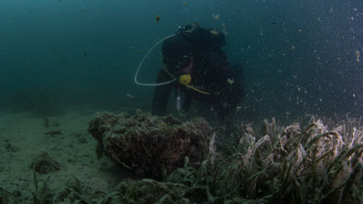 Çanakkale'de tehlike büyüyor
