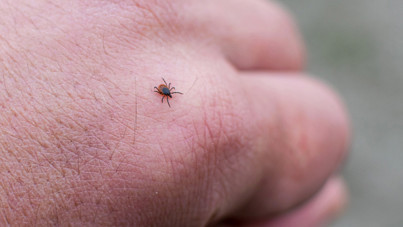 Kenenin yapıştığı bebek öldü