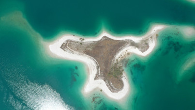 Ne turist var ne insan: Bu ada martılara emanet