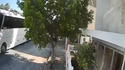 Otobüs şoförü, köpeği bilerek öldürdü