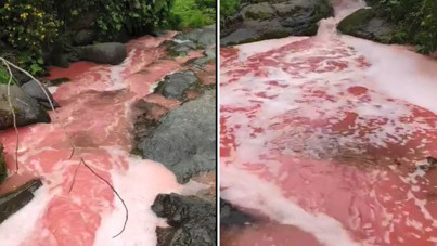 Rize'de derenin rengi bir anda kırmızıya döndü