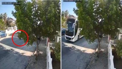 Ne durdu, ne baktı: Sokak köpeğini ezen tur otobüsü yoluna devam etti