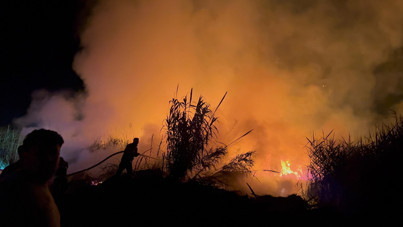 Hatay'da sazlık yangını