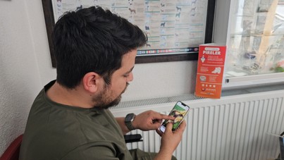 İki kedinin organlarını 'profesyoneller' çalmış
