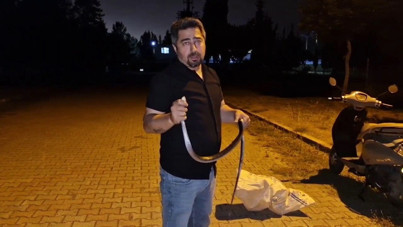 Çamaşır makinesine giren yılanı nasihat vererek gönderdi