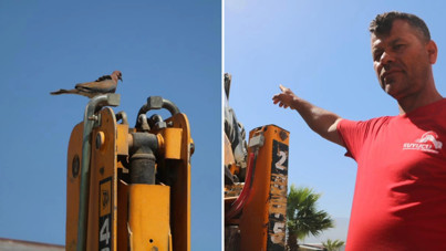 Yuva bozulmasın diye günlerdir işe çıkamıyor: '150 bin TL kaybım var'