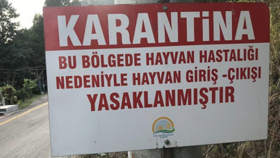 Dört mahalle karantinaya alındı