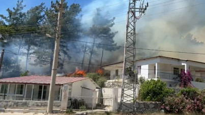Muğla'da orman yangını