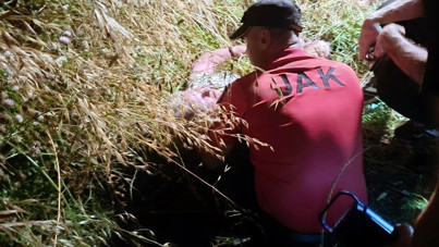 Kayıp kadın çalıların arasında uyurken bulundu