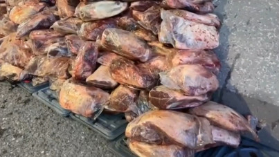 Sofralarımıza gelmek üzereydi: 1.7 ton bozulmuş et yakalandı