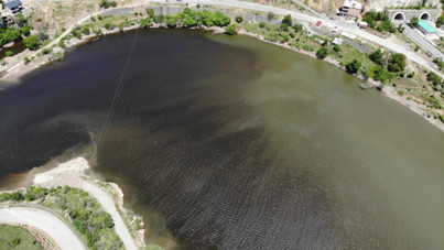 Alg patlaması gölet yüzeyini koyu renge bürüdü