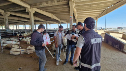 Satıcılar dikkat! Kurban pazarlarında sahte para dolaşımda...