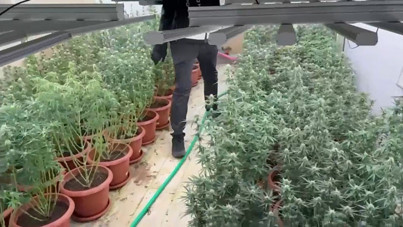 Villalara uyuşturucu baskını