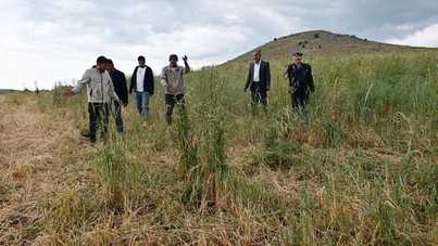 Yozgat ayakta: 'Şimdi de onun derdine düştük'