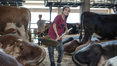 8 yaşında kurban pazarında 'çalışıyor': Tırın arkasına atlayarak geldim