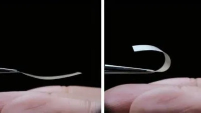 Bilim insanları canlı 'plastik' üretti