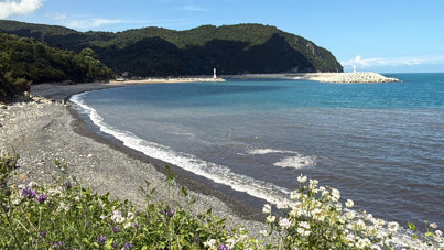 Biraz siyah biraz mavi, felaketin asıl rengi: Bakanlık 1,3 milyon lira ceza kesti