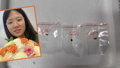 Biyoterör paniği: Çinli çift ABD'ye zehirli mantar sokmaya çalışırken yakalandı