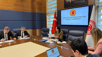 Meclis'e dilekçe verdi: Vicdan azabı çekiyorum, beni yargılayın