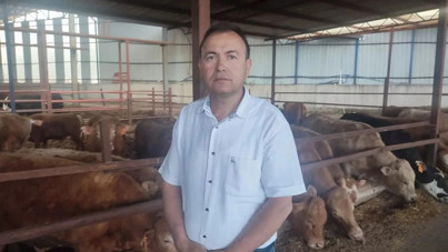 İş insanı boynuz darbesiyle öldü