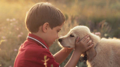 Köpekler ve çocuklarla ilgili çarpıcı araştırma: Faydası ortaya çıktı