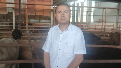 Kurbanlık dana, satıcıyı öldürdü