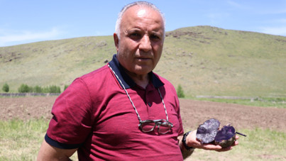 Mor patatesle ihya oldu