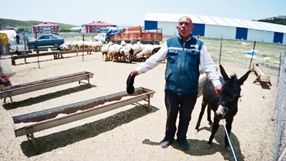 Kime üzüleceğini şaşırdı: Utanmasalar ağlayacaklar