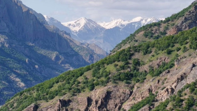Mantar toplarken kayboldu cansız bedeni bulundu
