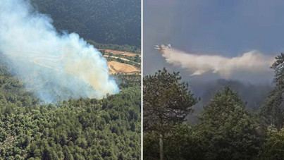Balıkesir'de orman yangını