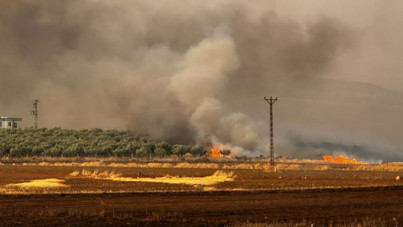 Tarlada büyük yangın: Çok sayıda hayvan öldü
