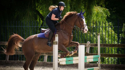 Hollanda tahtının varisi hastanelik oldu