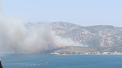 İki ilde orman yangını