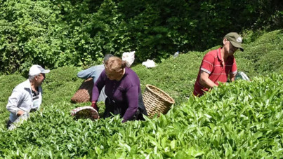 'Kötü günler bizi bekliyor' deyip ekledi: 'Zararın neresinden dönülse kâr'