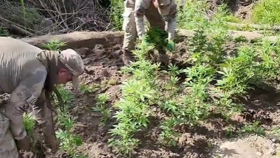 Diyarbakır’da dev uyuşturucu operasyonu