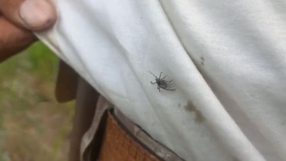 Yozgat’ta kene alarmı!