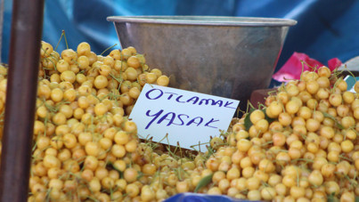 Festivaldeki yazı tepki çekti, zabıta müdahale etti