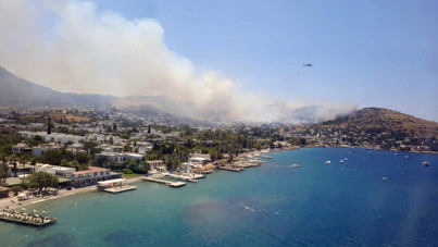Bodrum'da orman yangını