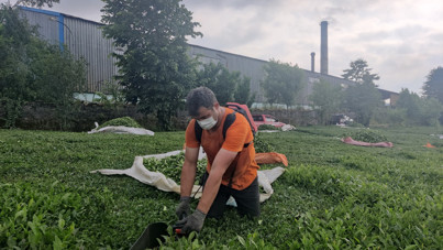 Halk tepkili: Egzozlu motor yasak, kömür tozu serbest