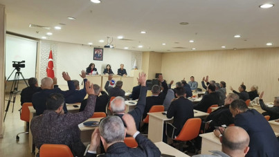 Adana'da seçimler bitti: Tutuklu başkanlar yerine seçilen iki vekil belli oldu