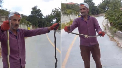 Yılanı elleriyle yakalayıp düğüm attı!