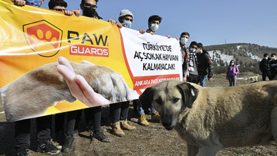 Hayvan sevgisi üzerinden 25 milyonluk vurgun